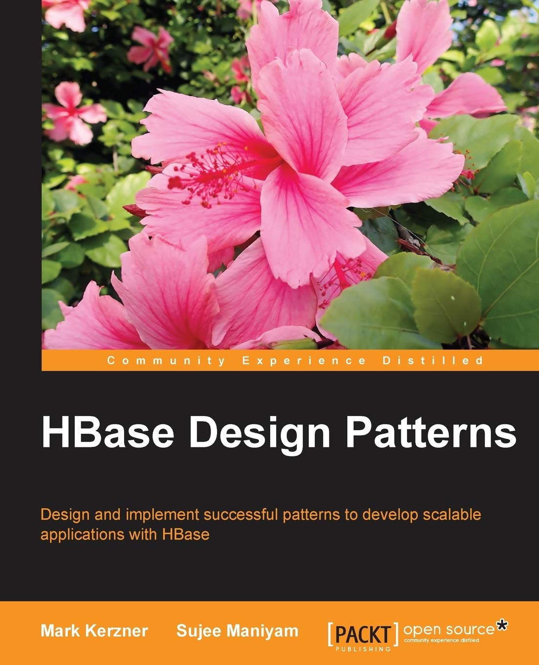 HBase Design Patterns cover